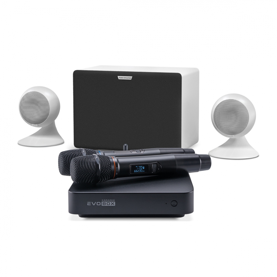 караоке-комплект EVOBOX Classic + EvoSound Sphere 2.1 в Монино
