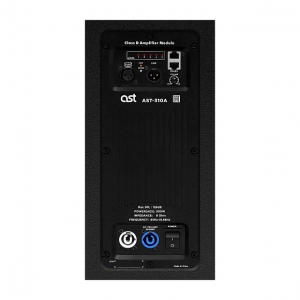 Активная акустическая система AST-310A в Монино
