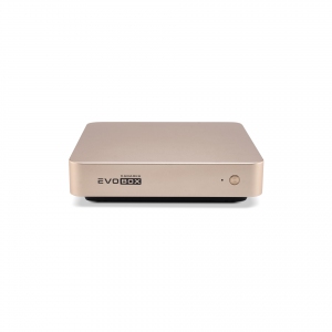 EVOBOX с микрофонами в Монино